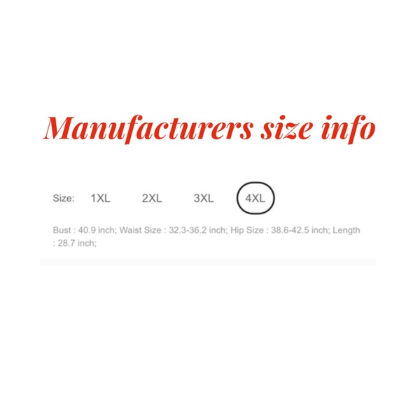 LAST ONE Mesh Inset One Piece Swimsuit Black 16W - Picture 3 of 4